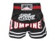 Lumpinee Muay Thai Boxing shorts : LUM-036 Black